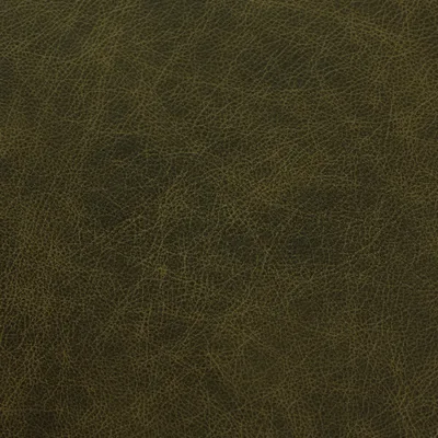 Saloon Green — Saloon swatch, view 1