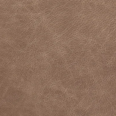 Saloon Hare — Saloon swatch, view 1