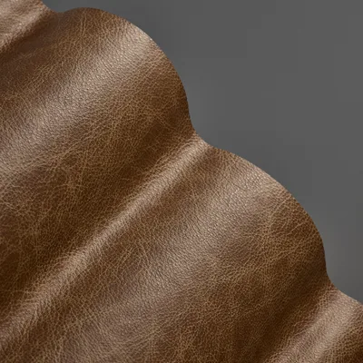 Saloon Tumbleweed — Saloon swatch