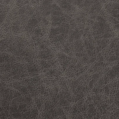 Saloon Grey — Saloon swatch, view 1