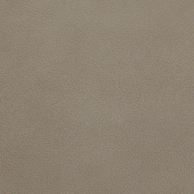 Selvaggio Ash swatch
