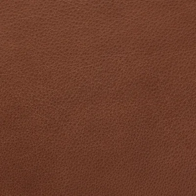 Selvaggio Beaver swatch