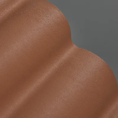 Selvaggio Cognac thumbnail 2