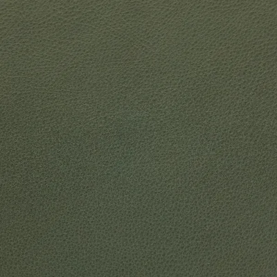 Selvaggio Forest Green swatch