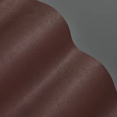 Selvaggio Kodiak thumbnail 2