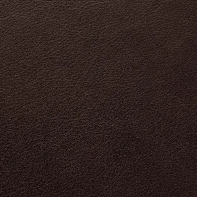 Selvaggio Peat swatch