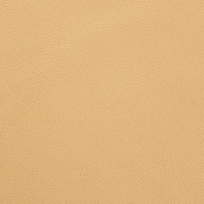 Shelly Angel swatch