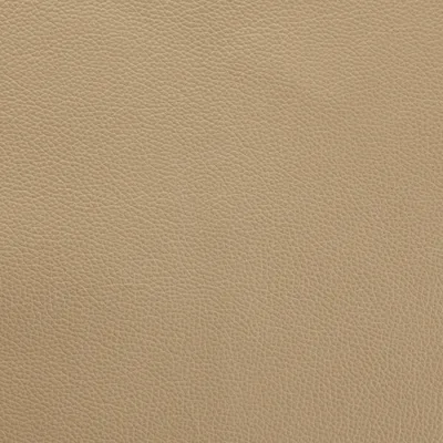 Shelly Ash swatch