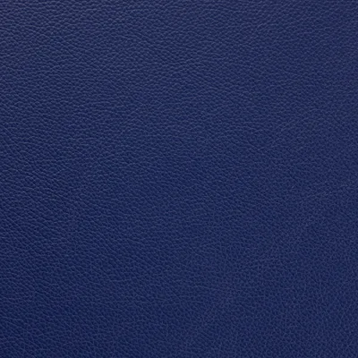 Shelly Bilberry swatch