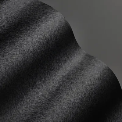 Shelly Black — Shelly swatch