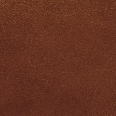 Shelly Castagna — Shelly swatch, view 1