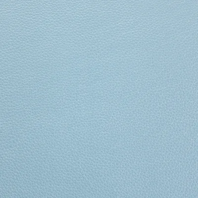 Shelly Chalk Blue — Shelly swatch, view 1