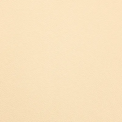 Shelly Cream — Shelly swatch, view 1