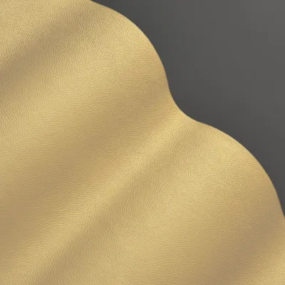 Shelly Dark Beige thumbnail 2