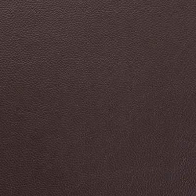 Shelly Dark Chocolate — Shelly swatch, view 1