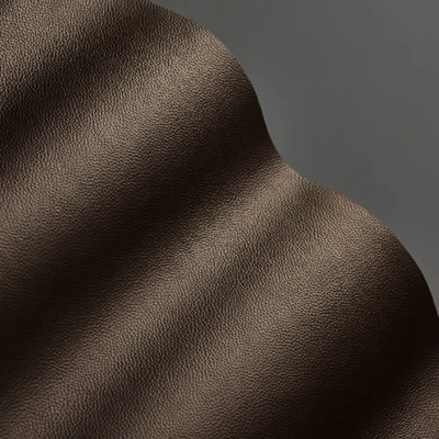 Shelly Dark Chocolate thumbnail 2