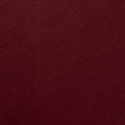 Shelly Dark Grape — Shelly swatch, view 1