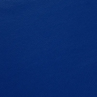 Shelly Deep Ultramarine — Shelly swatch, view 1
