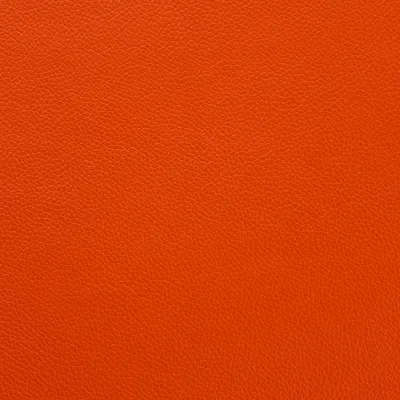 Shelly Flamenco — Shelly swatch, view 1