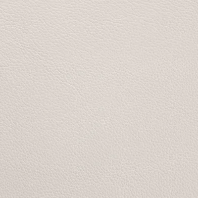 Shelly Grey Owl — Shelly swatch, view 1