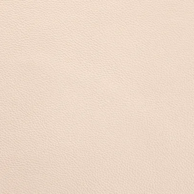 Shelly Grove — Shelly swatch, view 1