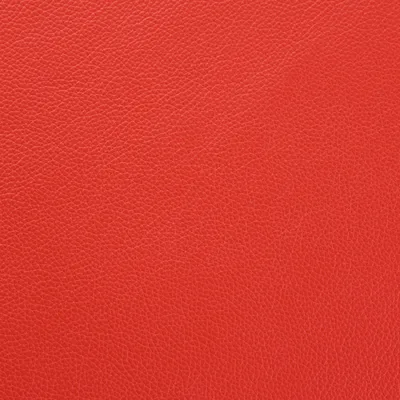 Shelly Horizon — Shelly swatch, view 1