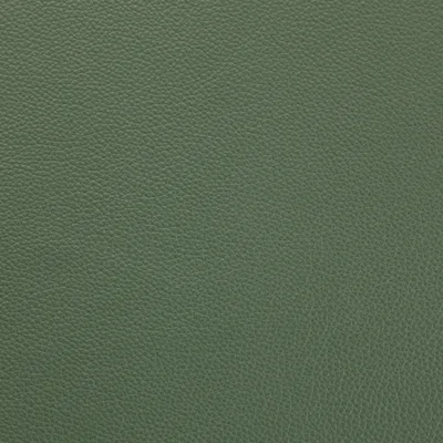 Shelly Lichen Green — Shelly swatch, view 1