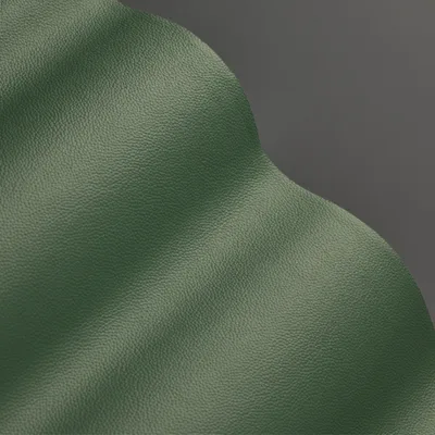 Shelly Lichen Green thumbnail 2