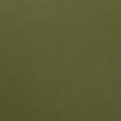 Shelly Mountain Tree — Shelly swatch, view 1