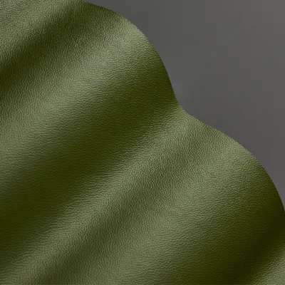 Shelly Mountain Tree thumbnail 2