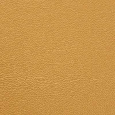 Shelly Mustard Seed — Shelly swatch, view 1