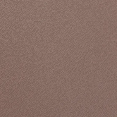 Shelly Owl — Shelly swatch, view 1