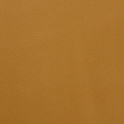 Shelly Parchment — Shelly swatch, view 1