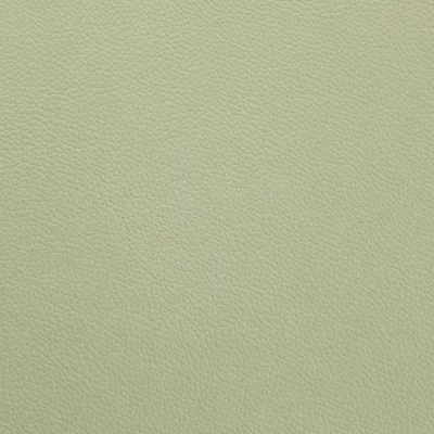 Shelly Pea Green — Shelly swatch, view 1