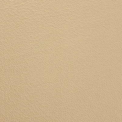Shelly Pebble — Shelly swatch, view 1
