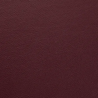 Shelly Philly — Shelly swatch, view 1