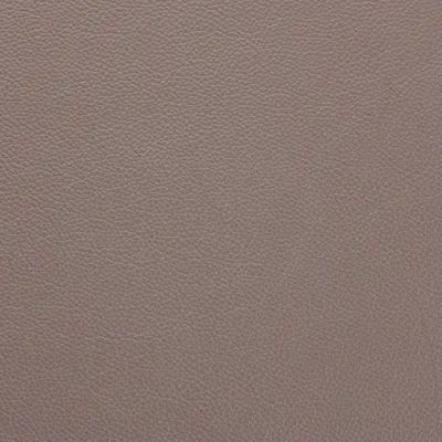 Shelly Rocking — Shelly swatch, view 1