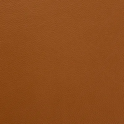 Shelly Saddle — Shelly swatch, view 1