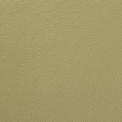 Shelly Sage Leaf — Shelly swatch, view 1