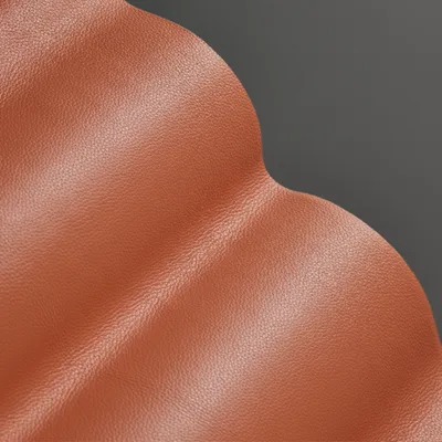 Shelly Seville Orange thumbnail 2