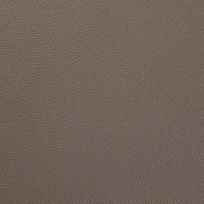 Shelly Silver Birch 5066 — Shelly swatch, view 1