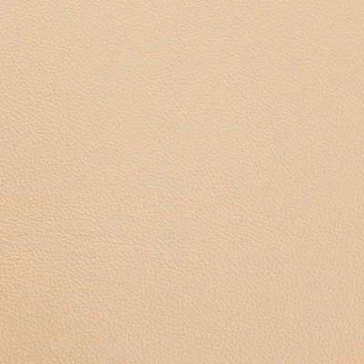 Shelly Somerset Stone — Shelly swatch, view 1