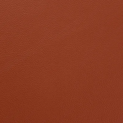 Shelly Spice — Shelly swatch, view 1