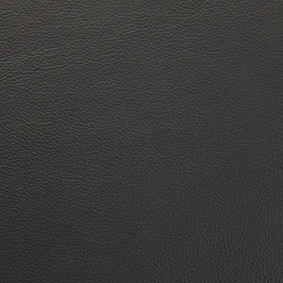 Shelly Steel 5065 — Shelly swatch, view 1