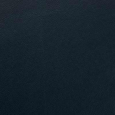 Shelly Suffolk Blue 5090 — Shelly swatch, view 1