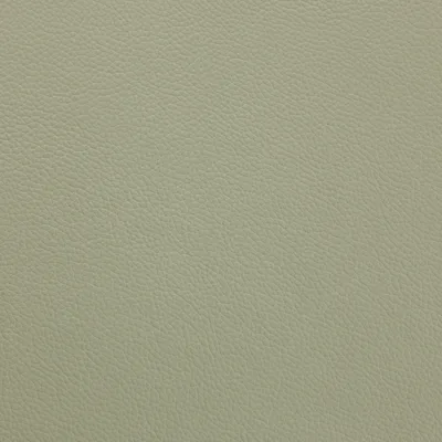 Shelly Thyme Green — Shelly swatch, view 1
