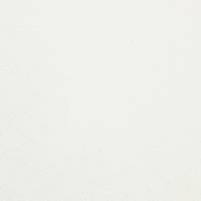 Shelly Winter White — Shelly swatch, view 1