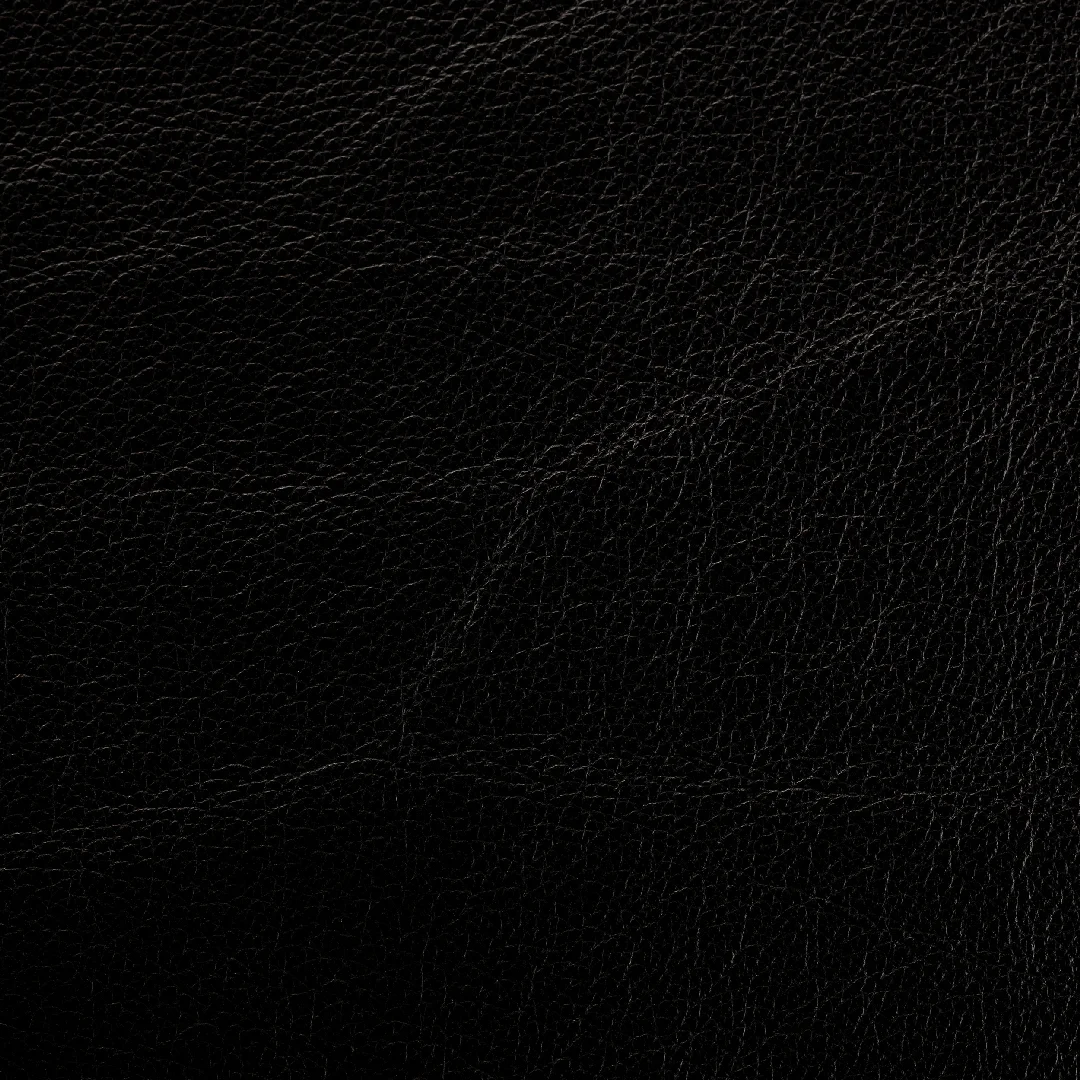 Siena Black swatch
