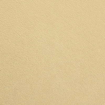 Tempesta Wheat — Tempesta swatch, view 1