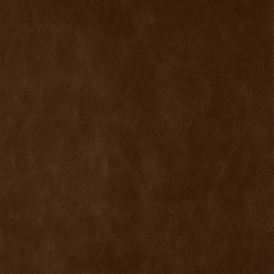Tuscany Acorn swatch